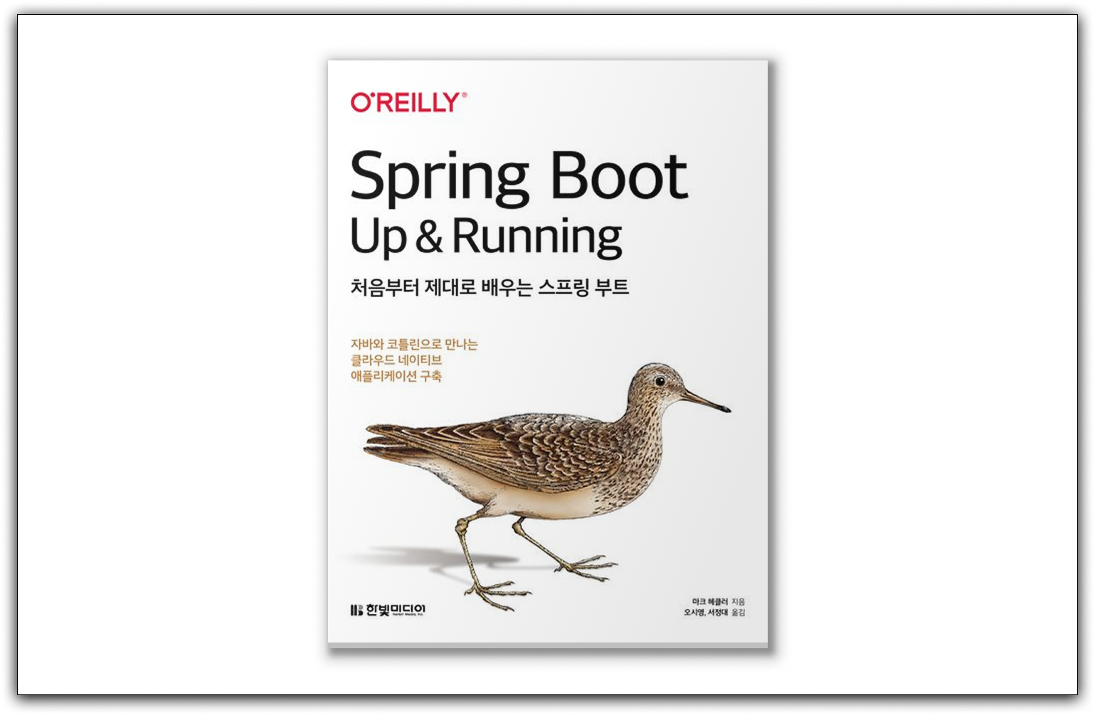 spring-boot